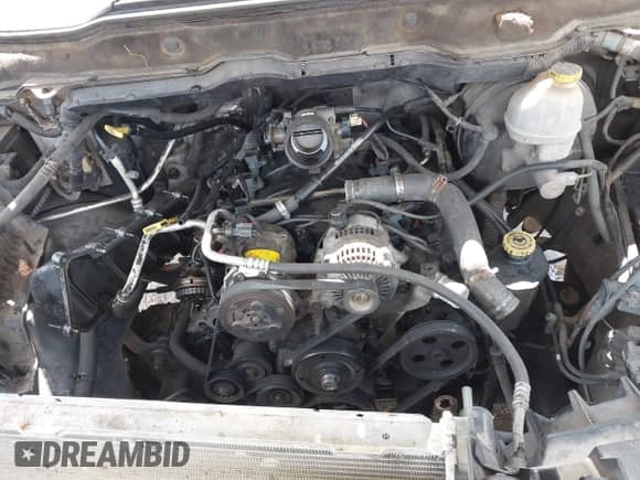 2002 Dodge 1500 z VIN 3D7HA18NX2G198516, wystawiony jako IAAI lot #42668833 z przebiegiem 219 230 mil mil oraz . Historia ofert i sprzedaży dostępna na DreamBid. Obrazek 10.