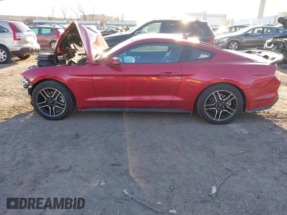 2023 Ford Mustang EcoBoost с VIN 1FA6P8TH0P5113505, выставлен на аукционе IAAI как лот 41330154 с пробегом 13 456 миль миль и . История ставок и продаж доступна на DreamBid. Изображение 15.