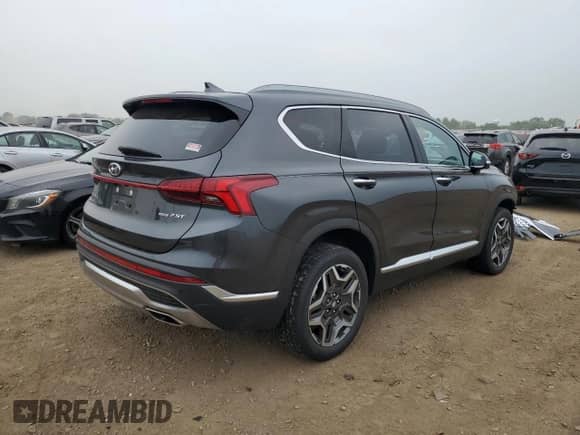 2021 Hyundai Santa Fe Limited with VIN 5NMS4DAL8MH343092, listed as a Copart auction lot 61070645 with 20,187 mi miles and Salvage title. Bid and sale history available at DreamBid. Image 3.