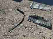 2016 Chevrolet Cruze LS с VIN 1G1BB5SMXG7294971, выставлен на аукционе Copart как лот 74442334 с пробегом 113 908 миль миль и На запчасти • Non repairable. История ставок и продаж доступна на DreamBid. Изображение 14.