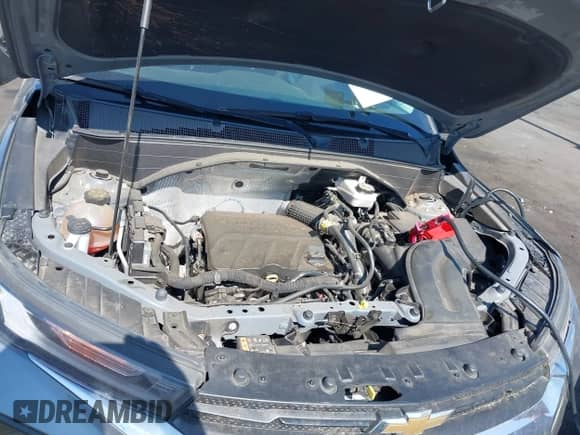 2021 Chevrolet TrailBlazer LS with VIN KL79MMS21MB181120, listed as a IAAI auction lot 42466032 with 55,569 mi miles and . Bid and sale history available at DreamBid. Image 10.