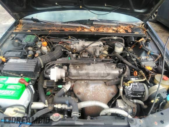 1993 Honda Accord с VIN JHMCB7686PC030883, выставлен на аукционе IAAI как лот 40855777 с пробегом 301 907 миль миль и . История ставок и продаж доступна на DreamBid. Изображение 10.