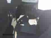 2023 Dodge Charger GT z VIN 2C3CDXHG4PH690633, wystawiony jako IAAI lot #43069775 z przebiegiem 31 949 mil mil oraz . Historia ofert i sprzedaży dostępna na DreamBid. Obrazek 8.