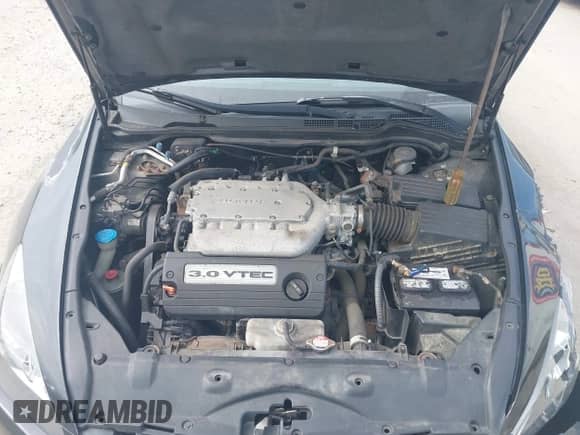 2003 Honda Accord EX with VIN 1HGCM82793A036098, listed as a IAAI auction lot 42568648 with 85,367 mi miles and . Bid and sale history available at DreamBid. Image 10.