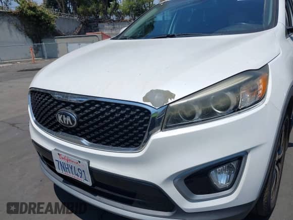 2016 Kia Sorento EX with VIN 5XYPH4A56GG106899, listed as a IAAI auction lot 42909390 with 119,326 mi miles and . Bid and sale history available at DreamBid. Image 17.