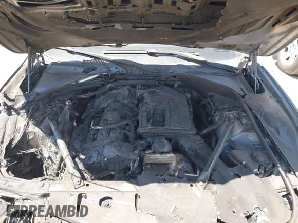 2011 BMW 5 Series 535i with VIN WBAFR7C59BC602944, listed as a IAAI auction lot 42823097 with Not provided miles and . Bid and sale history available at DreamBid. Image 10.