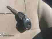 2001 Honda Accord VP с VIN 1HGCF86631A135962, выставлен на аукционе IAAI как лот 42557296 с пробегом 166 998 миль миль и . История ставок и продаж доступна на DreamBid. Изображение 11.