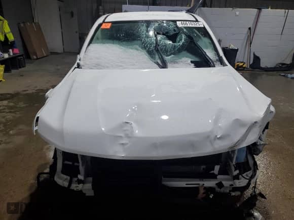 2021 Chevrolet Colorado 4WD Work Truck with VIN 1GCHTBEN5M1172244, listed as a Copart auction lot 46610325 with Not provided miles and Salvage title. Bid and sale history available at DreamBid. Image 5.