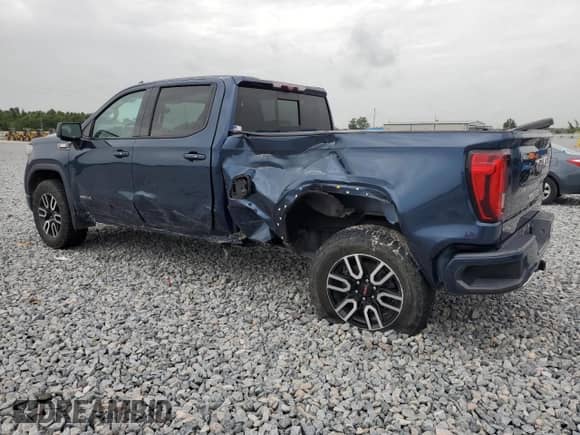 2020 GMC Sierra 1500 AT4 with VIN 3GTU9EET5LG320776, listed as a Copart auction lot 59581405 with 118,204 mi miles and Salvage title. Bid and sale history available at DreamBid. Image 2.