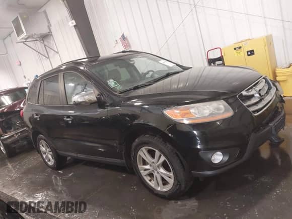 2010 Hyundai Santa Fe Limited with VIN 5NMSKDAG7AH370000, listed as a IAAI auction lot 42351824 with 304,243 mi miles and . Bid and sale history available at DreamBid. Image 13.