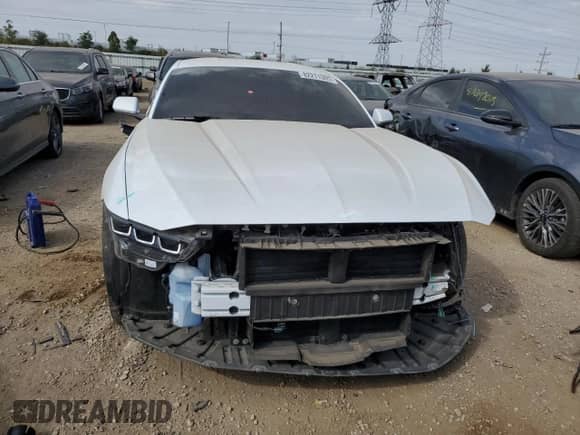 2024 Ford Mustang EcoBoost с VIN 1FA6P8THXR5107956, выставлен на аукционе Copart как лот 82211305 с пробегом 16 891 миль миль и Списание • Salvage title. История ставок и продаж доступна на DreamBid. Изображение 5.