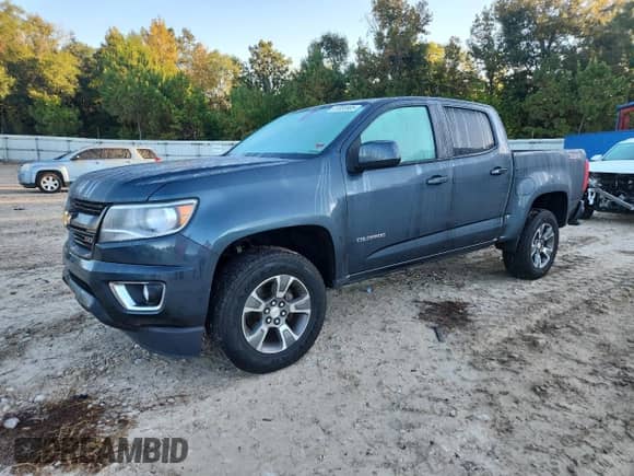 2019 Chevrolet Colorado 2WD Z71 с VIN 1GCGSDEN3K1351549, выставлен на аукционе Copart как лот 87055905 с пробегом 73 949 миль миль и Списание • Salvage title. История ставок и продаж доступна на DreamBid. Изображение 1.