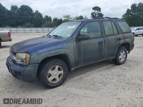 2002 Chevrolet TrailBlazer LS с VIN 1GNDS13S422522708, выставлен на аукционе Copart как лот 67969885 с пробегом 144 061 миль миль и Чистый • Clean title. История ставок и продаж доступна на DreamBid. Изображение 1.