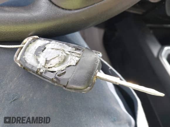 2018 Ford F-150 XL z VIN 1FTEW1EP6JFE09070, wystawiony jako IAAI lot #42918734 z przebiegiem 175 131 mil mil oraz . Historia ofert i sprzedaży dostępna na DreamBid. Obrazek 11.