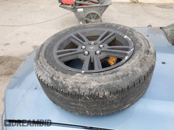 2005 Ford Mustang Deluxe with VIN 1ZVFT80N655103801, listed as a Copart auction lot 86625875 with Not provided miles and Salvage title. Bid and sale history available at DreamBid. Image 12.