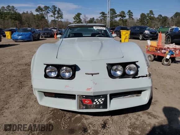 1981 Chevrolet Corvette с VIN 1G1AY8765B5108344, выставлен на аукционе Copart как лот 44247515 с пробегом 94 066 миль миль и Чистый • Clean title. История ставок и продаж доступна на DreamBid. Изображение 5.