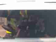 2024 Chevrolet Silverado EV Work Truck с VIN 1GC10VEL9RU203737, выставлен на аукционе IAAI как лот 42887622 с пробегом Не указан миль и . История ставок и продаж доступна на DreamBid. Изображение 7.