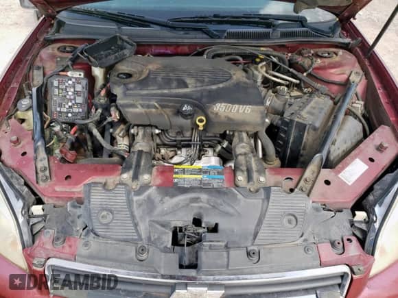 2009 Chevrolet Impala LT с VIN 2G1WT57N291268848, выставлен на аукционе Copart как лот 62668025 с пробегом 206 927 миль миль и Чистый • Clean title. История ставок и продаж доступна на DreamBid. Изображение 11.