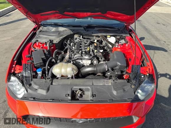 2023 Ford Mustang EcoBoost z VIN 1FATP8UH5P5104316, wystawiony jako Copart lot #85412295 z przebiegiem 50 209 mil mil oraz Czysty tytuł • Clean title. Historia ofert i sprzedaży dostępna na DreamBid. Obrazek 7.