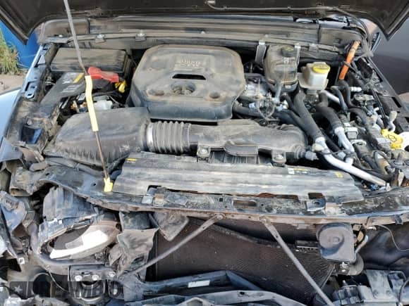 2021 Jeep Wrangler Unlimited Sahara with VIN 1C4JJXP64MW730422, listed as a Copart auction lot 71920125 with 57,489 mi miles and Salvage title. Bid and sale history available at DreamBid. Image 12.