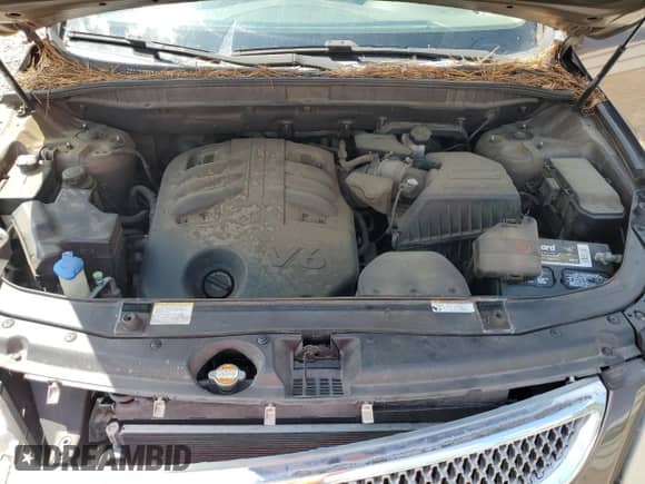 2011 Hyundai Veracruz Limited с VIN KM8NU4CC7BU176591, выставлен на аукционе Copart как лот 81698165 с пробегом 187 987 миль миль и Списание • Salvage title. История ставок и продаж доступна на DreamBid. Изображение 12.