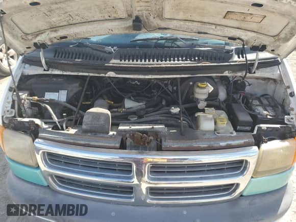 1999 Dodge Cargo Conversion with VIN 2B6HB11Y5XK521588, listed as a Copart auction lot 75468904 with Not provided miles and Non repairable. Bid and sale history available at DreamBid. Image 12.