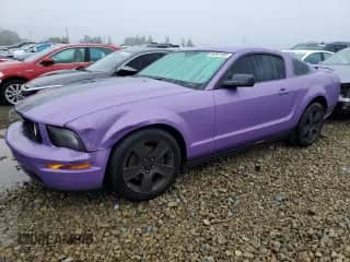 2006 Ford Mustang GT Deluxe с VIN 1ZVHT82H265101142, выставлен на аукционе Copart как лот 84901485 с пробегом 109 194 миль миль и Списание • Salvage title. История ставок и продаж доступна на DreamBid. Изображение 1.