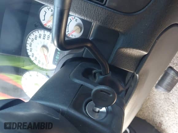 2002 Dodge 1500 z VIN 1D7HA16N92J140396, wystawiony jako IAAI lot #42543790 z przebiegiem 153 239 mil mil oraz . Historia ofert i sprzedaży dostępna na DreamBid. Obrazek 11.