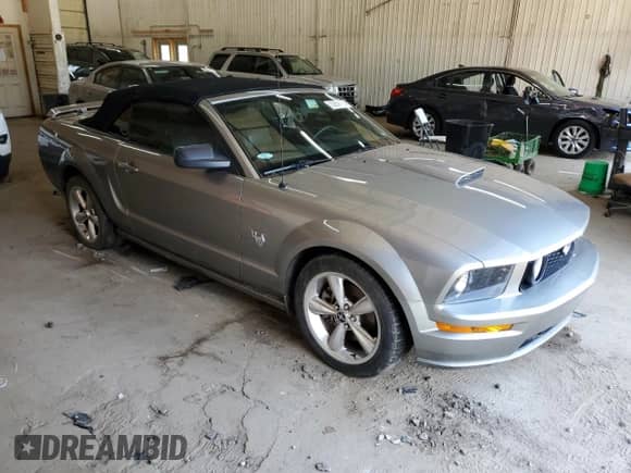 2009 Ford Mustang GT z VIN 1ZVHT85H095126959, wystawiony jako Copart lot #63859165 z przebiegiem 80 520 mil mil oraz Szkoda całkowita • Salvage title. Historia ofert i sprzedaży dostępna na DreamBid. Obrazek 4.
