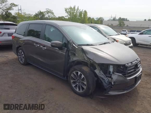 2023 Honda Odyssey EX-L с VIN 5FNRL6H69PB033617, выставлен на аукционе IAAI как лот 43279617 с пробегом 49 803 миль миль и . История ставок и продаж доступна на DreamBid. Изображение 1.