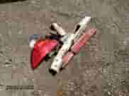 2007 Honda Accord EX with VIN 1HGCM56767A800651, listed as a Copart auction lot 56841445 with 290,900 mi miles and Clean title. Bid and sale history available at DreamBid. Image 12.