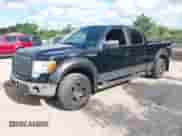 2009 Ford F-150 XL with VIN 1FTPW14V29FB35404, listed as a IAAI auction lot 42764594 with 130,012 mi miles and . Bid and sale history available at DreamBid. Image 2.