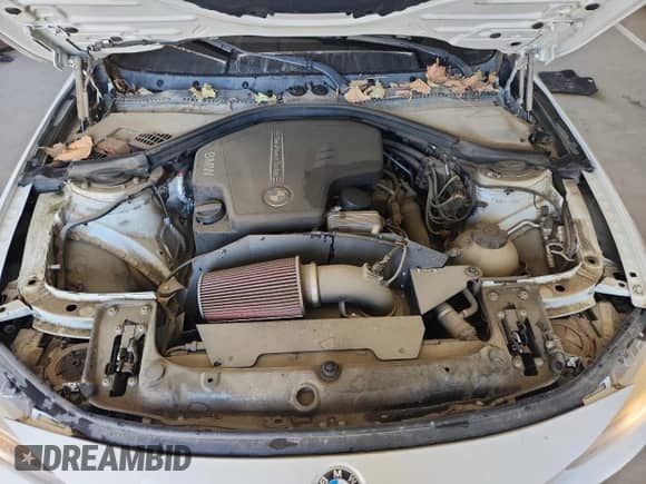 2013 BMW 3 Series 328i with VIN WBA3C1C52DF437905, listed as a Copart auction lot 80911955 with 99,176 mi miles and Clean title. Bid and sale history available at DreamBid. Image 11.