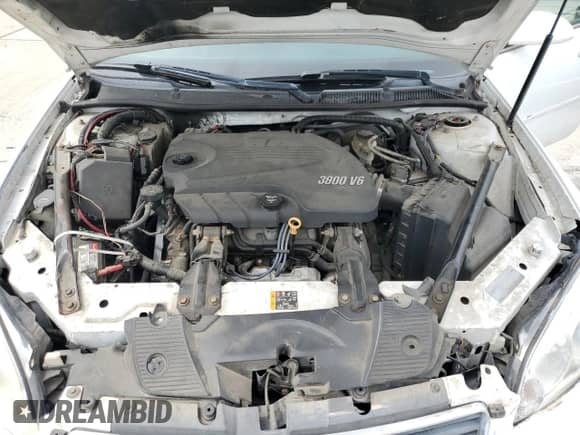 2011 Chevrolet Impala Police Police с VIN 2G1WD5EM8B1245782, выставлен на аукционе Copart как лот 54894585 с пробегом 109 778 миль миль и Списание • Salvage title. История ставок и продаж доступна на DreamBid. Изображение 11.
