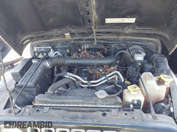 2002 Jeep Wrangler Sahara z VIN 1J4FA59S02P703627, wystawiony jako IAAI lot #42815504 z przebiegiem 144 573 mil mil oraz . Historia ofert i sprzedaży dostępna na DreamBid. Obrazek 10.