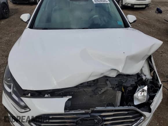 2018 Hyundai Sonata Sport with VIN 5NPE34AF2JH653344, listed as a Copart auction lot 82628585 with 55,401 mi miles and Clean title. Bid and sale history available at DreamBid. Image 11.