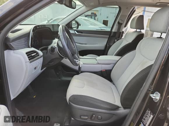 2020 Hyundai Palisade SEL с VIN KM8R2DHEXLU088248, выставлен на аукционе Copart как лот 69655375 с пробегом 78 686 миль миль и Списание • Salvage title. История ставок и продаж доступна на DreamBid. Изображение 7.