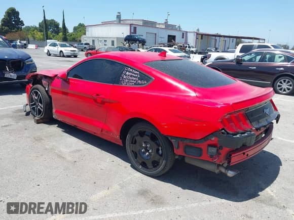 2023 Ford Mustang EcoBoost с VIN 1FA6P8TH2P5109651, выставлен на аукционе IAAI как лот 42519302 с пробегом 33 575 миль миль и . История ставок и продаж доступна на DreamBid. Изображение 3.