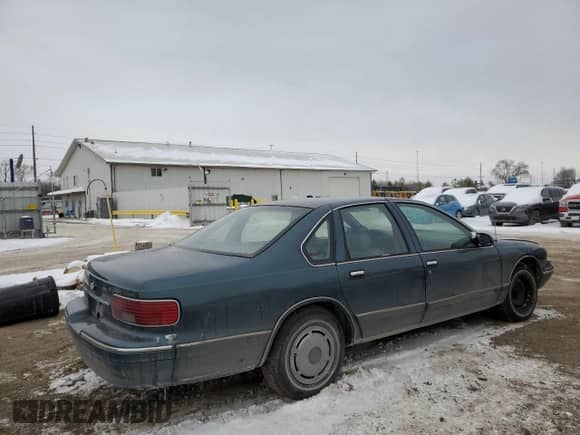 1996 Chevrolet Caprice 1SA Special Value с VIN 1G1BL52W7TR141932, выставлен на аукционе Copart как лот 45181475 с пробегом Не указан миль и Чистый • Clean title. История ставок и продаж доступна на DreamBid. Изображение 3.
