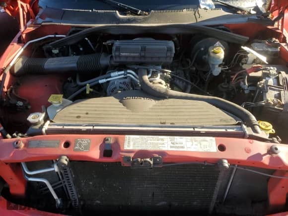 2000 Dodge 1500 with VIN 1B7HF13Z5YJ190790, listed as a Copart auction lot 87027165 with 128,358 mi miles and Salvage title. Bid and sale history available at DreamBid. Image 11.
