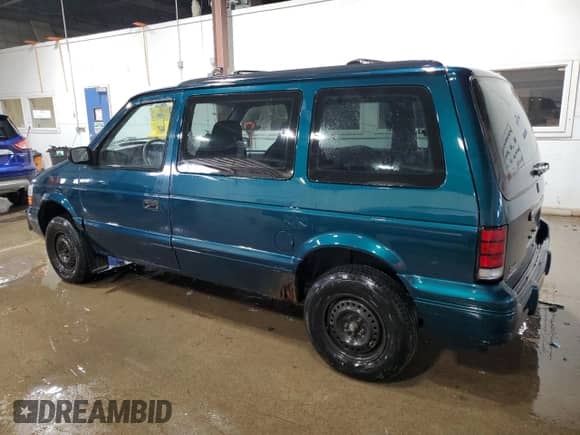 1995 Dodge Caravan with VIN 2B4GH2537SR203902, listed as a Copart auction lot 42555025 with 125,294 mi miles and Clean title. Bid and sale history available at DreamBid. Image 2.