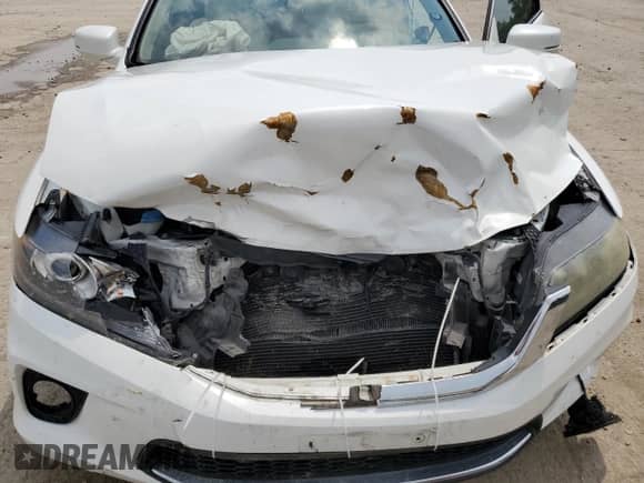 2015 Honda Accord EX-L z VIN 1HGCT2B81FA006509, wystawiony jako Copart lot #67317755 z przebiegiem Nie podano mil oraz Szkoda całkowita • Salvage title. Historia ofert i sprzedaży dostępna na DreamBid. Obrazek 11.