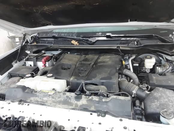 2023 Toyota Tundra SR5 z VIN 5TFLA5DAXPX063554, wystawiony jako IAAI lot #41943423 z przebiegiem 82 823 mil mil oraz . Historia ofert i sprzedaży dostępna na DreamBid. Obrazek 10.