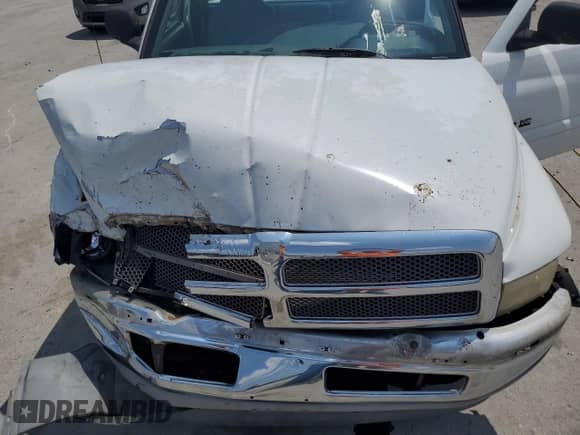 2000 Dodge 1500 with VIN 1B7HC16Y4YS593763, listed as a Copart auction lot 59532185 with 206,214 mi miles and Salvage title. Bid and sale history available at DreamBid. Image 11.
