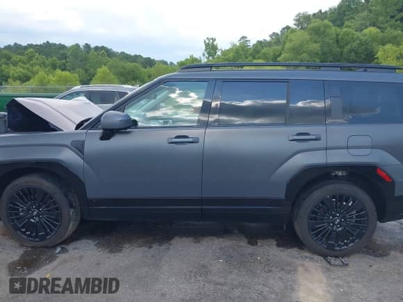 2025 Hyundai Santa Fe Calligraphy с VIN 5NMP54G10SH020807, выставлен на аукционе IAAI как лот 42548140 с пробегом 20 468 миль миль и . История ставок и продаж доступна на DreamBid. Изображение 14.