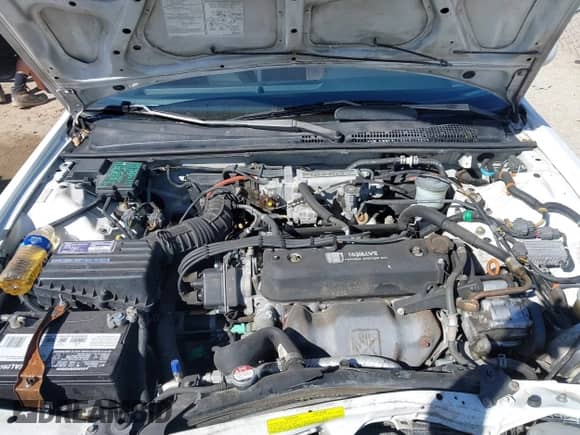 1991 Honda Accord with VIN 1HGCB7659MA084999, listed as a IAAI auction lot 41688177 with 99,301 mi miles and . Bid and sale history available at DreamBid. Image 10.