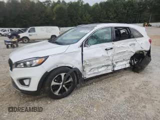 2018 Kia Sorento EX with VIN 5XYPH4A54JG429792, listed as a Copart auction lot 87390465 with 116,393 mi miles and Salvage title. Bid and sale history available at DreamBid. Image 1.