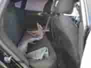 2022 BMW 4 Series 430i с VIN WBA63AV05NFM17809, выставлен на аукционе Copart как лот 88669115 с пробегом Не указан миль и На запчасти • Non repairable. История ставок и продаж доступна на DreamBid. Изображение 10.