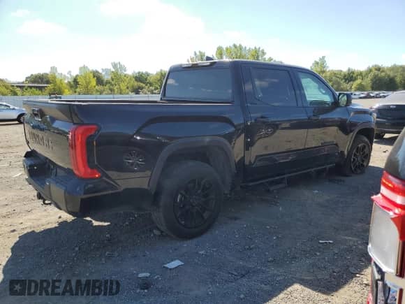 2024 Toyota Tundra SR5 with VIN 5TFLA5DB1RX230122, listed as a Copart auction lot 64092405 with 17,632 mi miles and Salvage title. Bid and sale history available at DreamBid. Image 3.