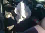 2003 Chevrolet S-10 LS с VIN 1GCCS14H938162180, выставлен на аукционе Copart как лот 52180194 с пробегом Не указан миль и Списание • Salvage title. История ставок и продаж доступна на DreamBid. Изображение 8.